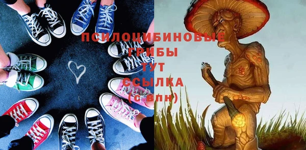 ECSTASY Слюдянка