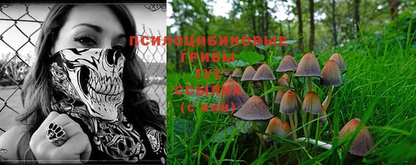jwh Верея