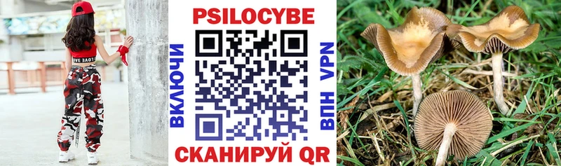 Галлюциногенные грибы MAGIC MUSHROOMS Семёнов